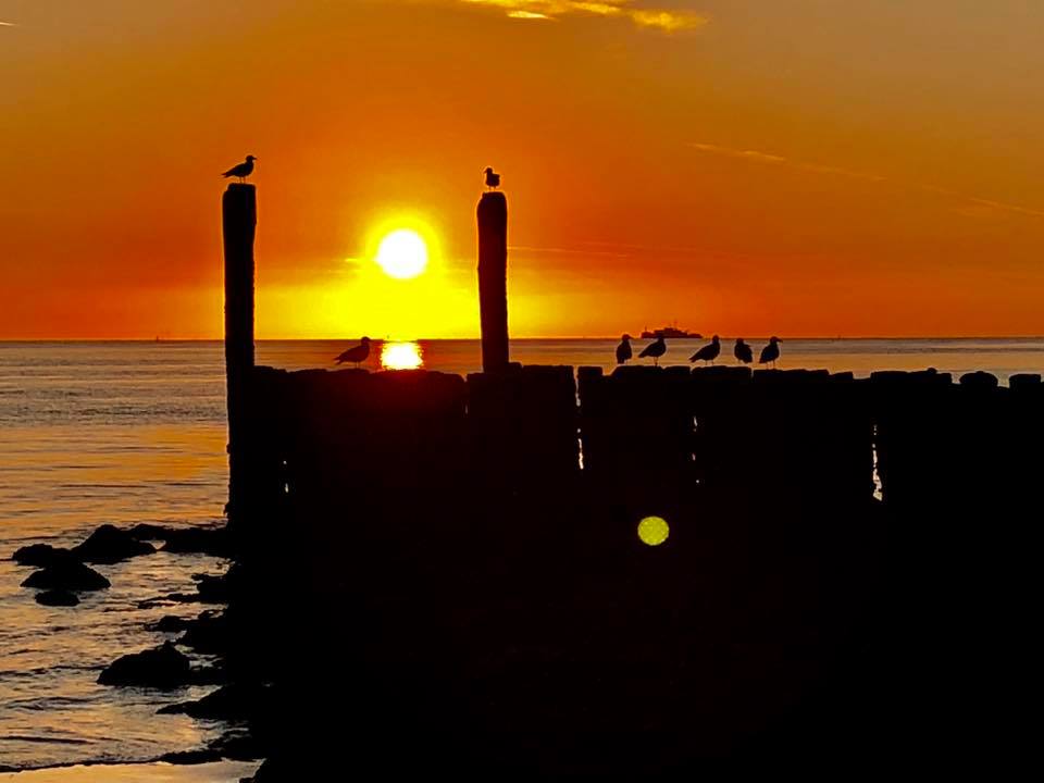 Zeeland Transfer nach Zoutelande - Strand Sonnenuntergang